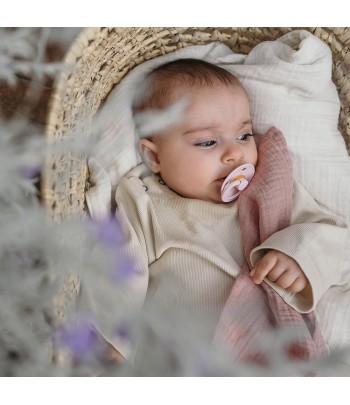 BIBS Colour cumlíky z prírodného kaučuku 2ks - veľkosť 2 - Lavender / Baby Pink